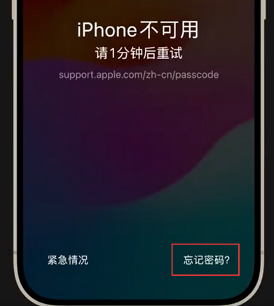 思南苹果手机密码维修分享iPhone忘记了刚设置的密码 