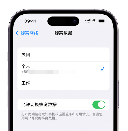 思南苹果维修服务分享如何在iPhone上使用双卡 